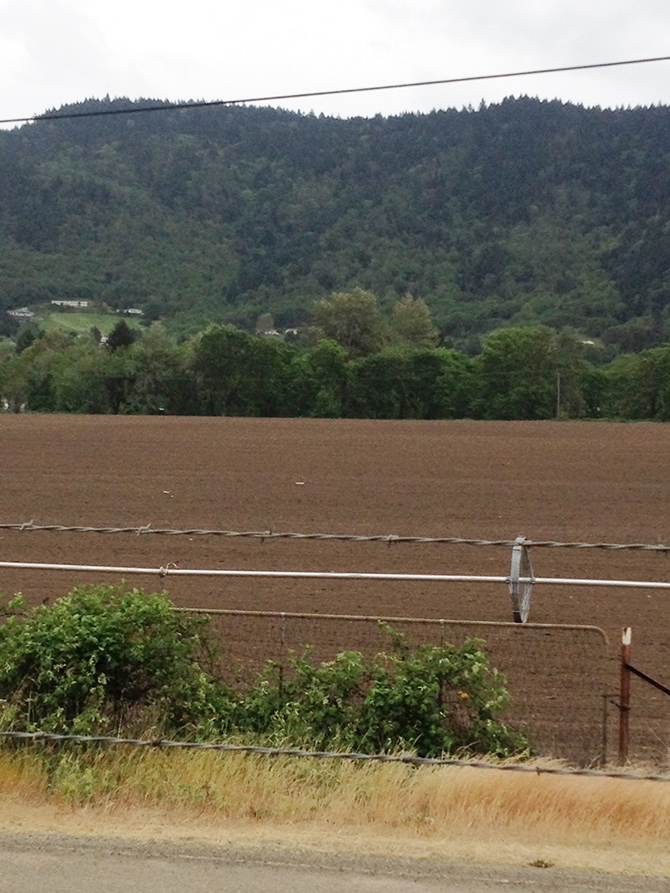 photo of a tilled field along the highway